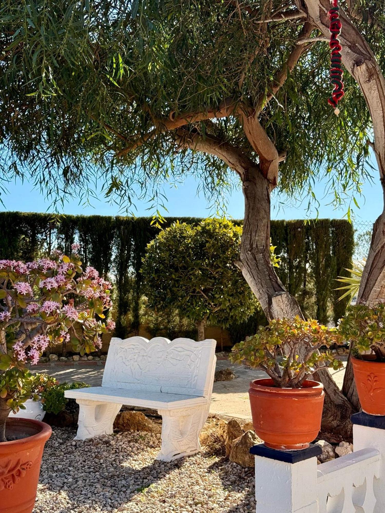 Finca Malata Turís Exteriör bild